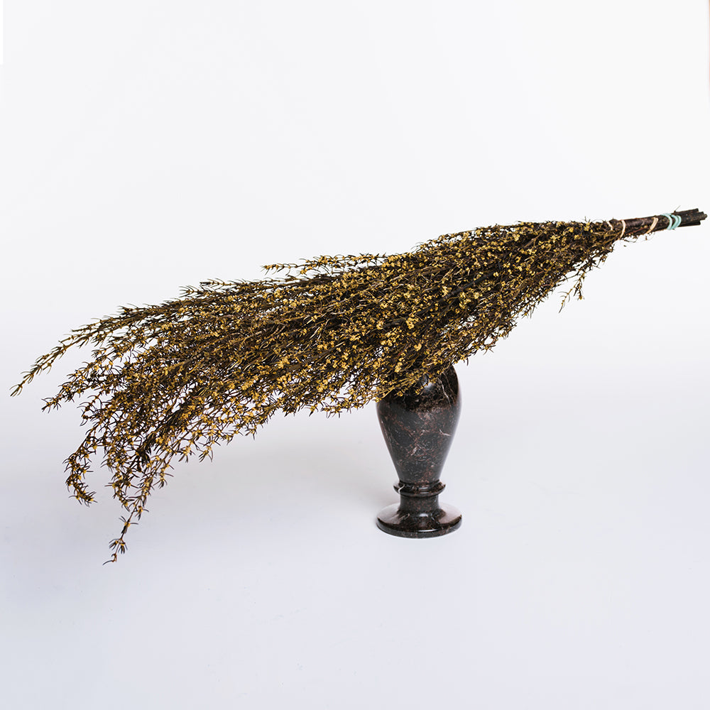 Grabia - Bunch