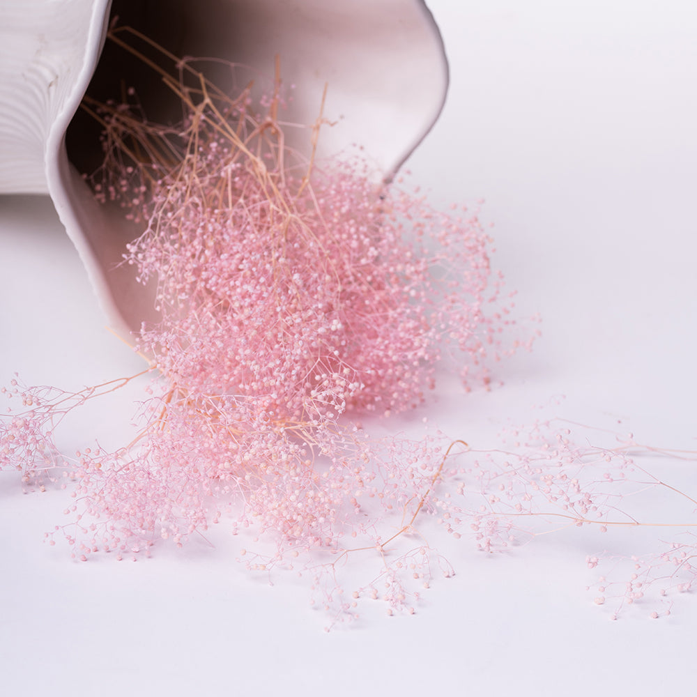 Gypsophilia Box Pin04 1