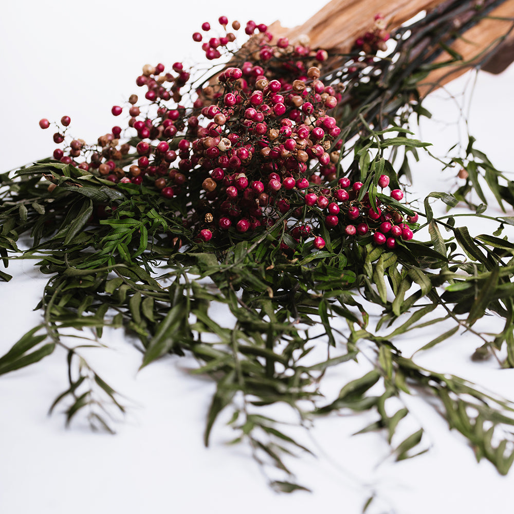 Pepper Tree - Bunch