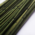 Mash Reed - Bunch