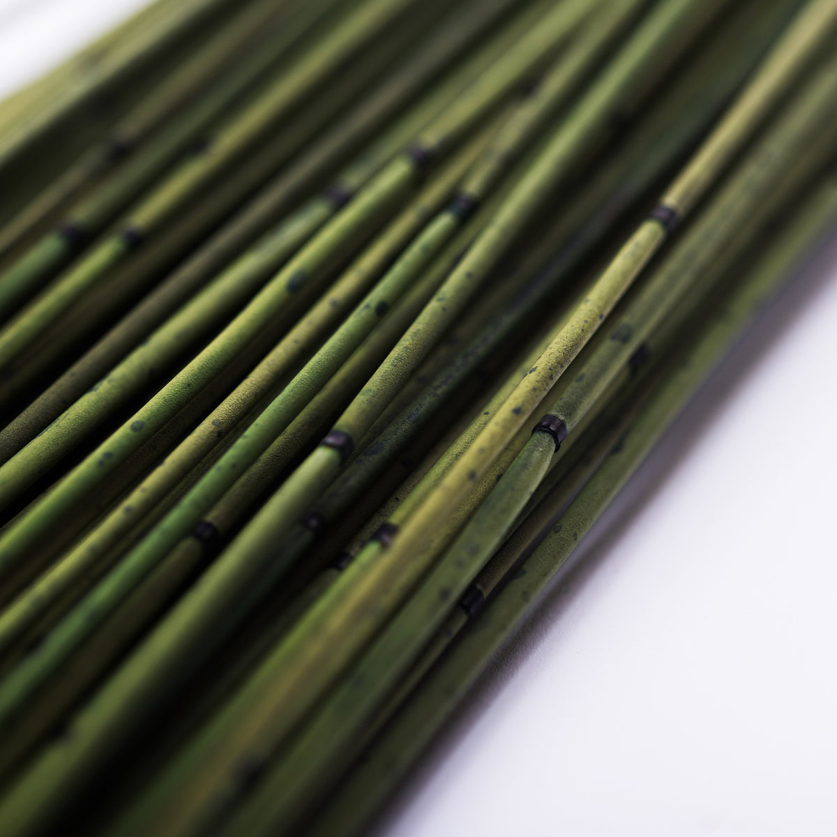 Mash Reed - Bunch