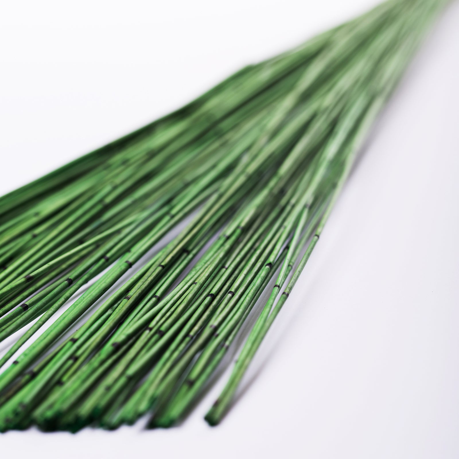 Mash Reed Gre05 2