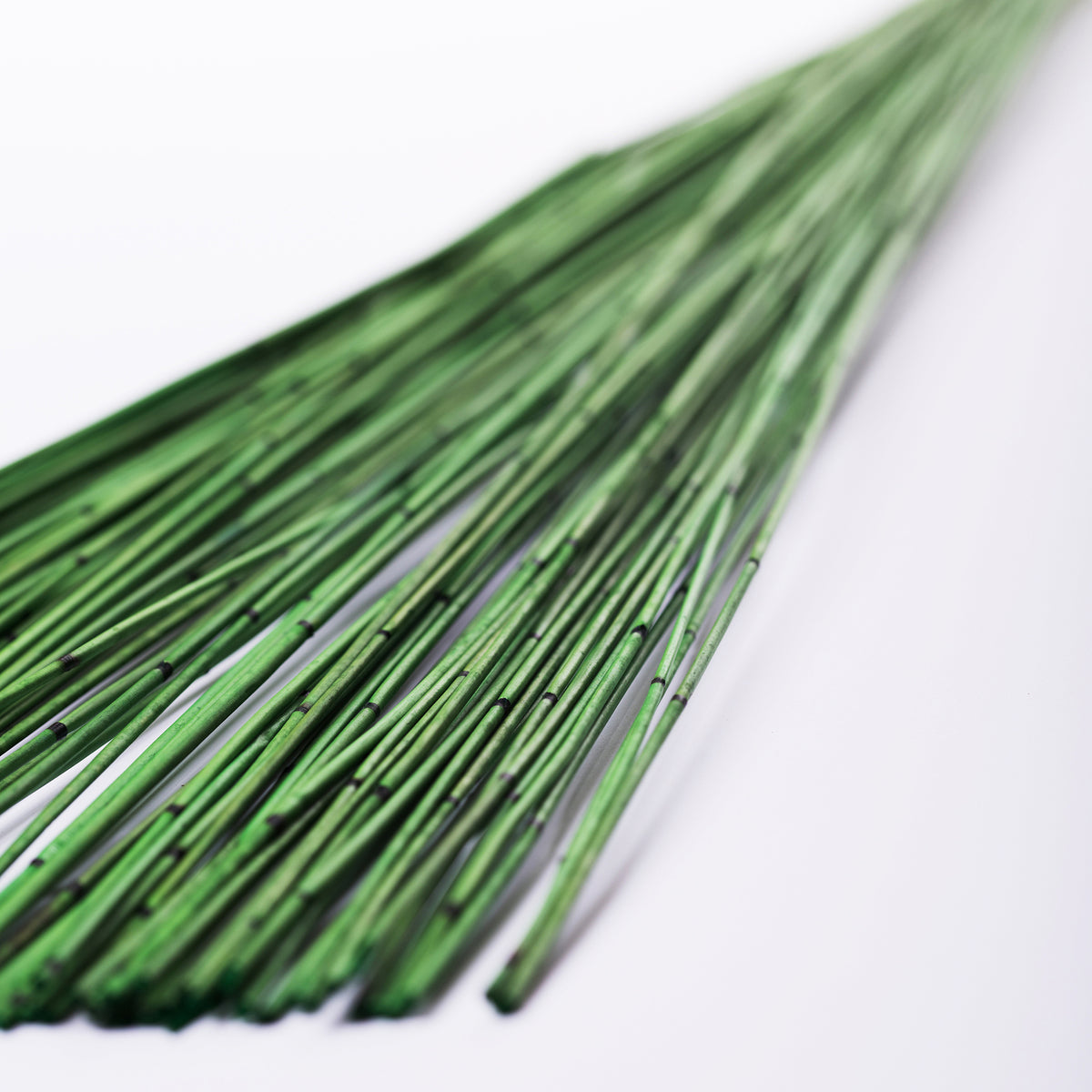 Mash Reed Gre05 2