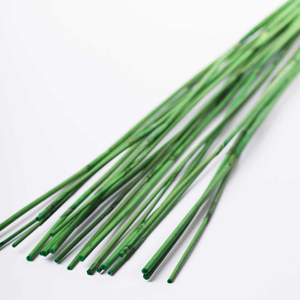 Elephant Reed Gre02 2