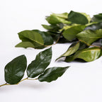 Preserved Salal Wholesale