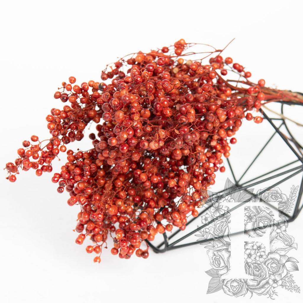 Pepperberry - Bunch
