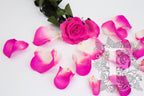 Premium Rose Petals - Window Box - 100g