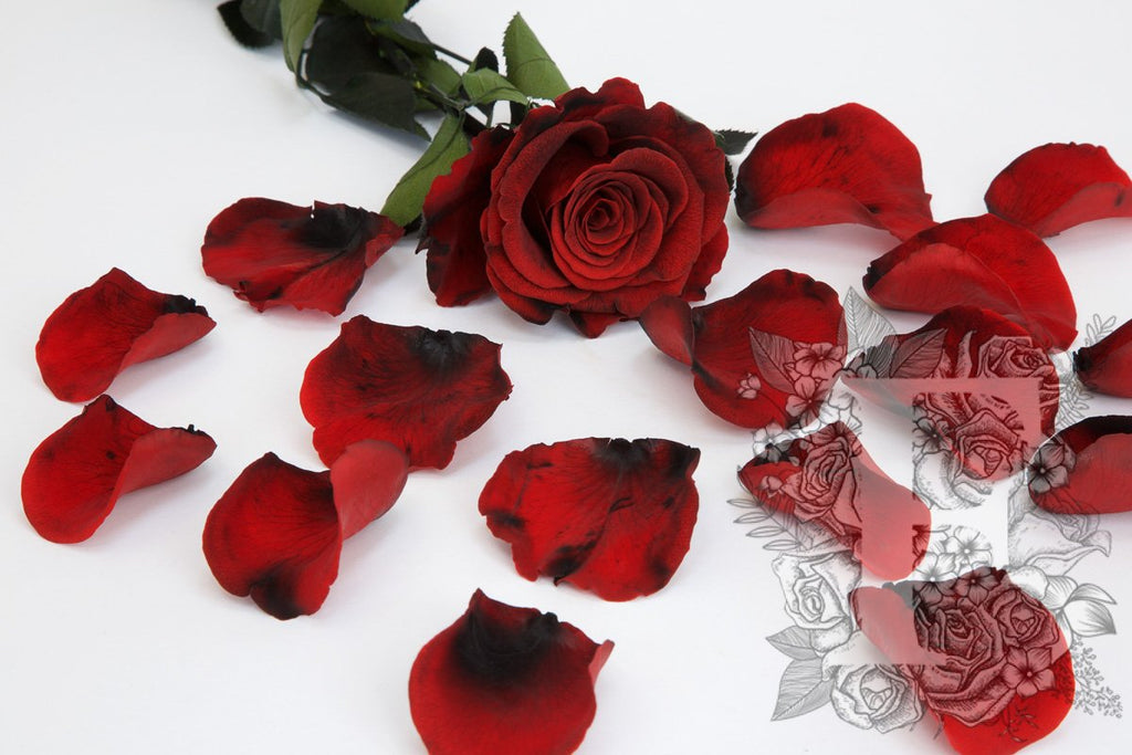 Premium Rose Petals - Window Box - 100g