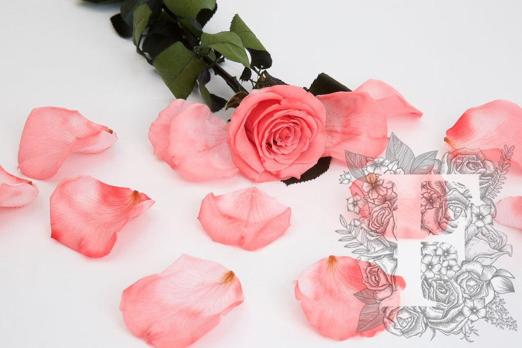 Preserved Petals Blush 1