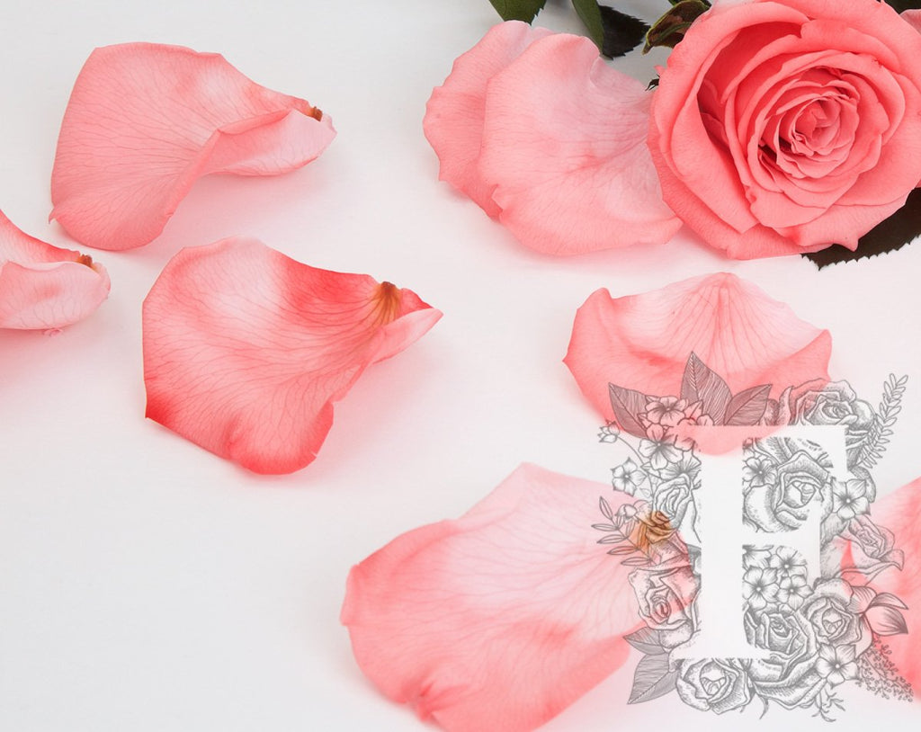 Preserved Petals Blush 2