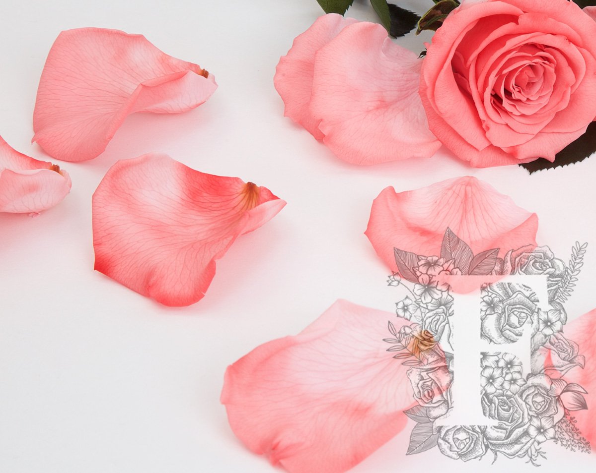 Preserved Petals Blush 2