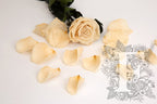 Premium Rose Petals - Window Box - 100g