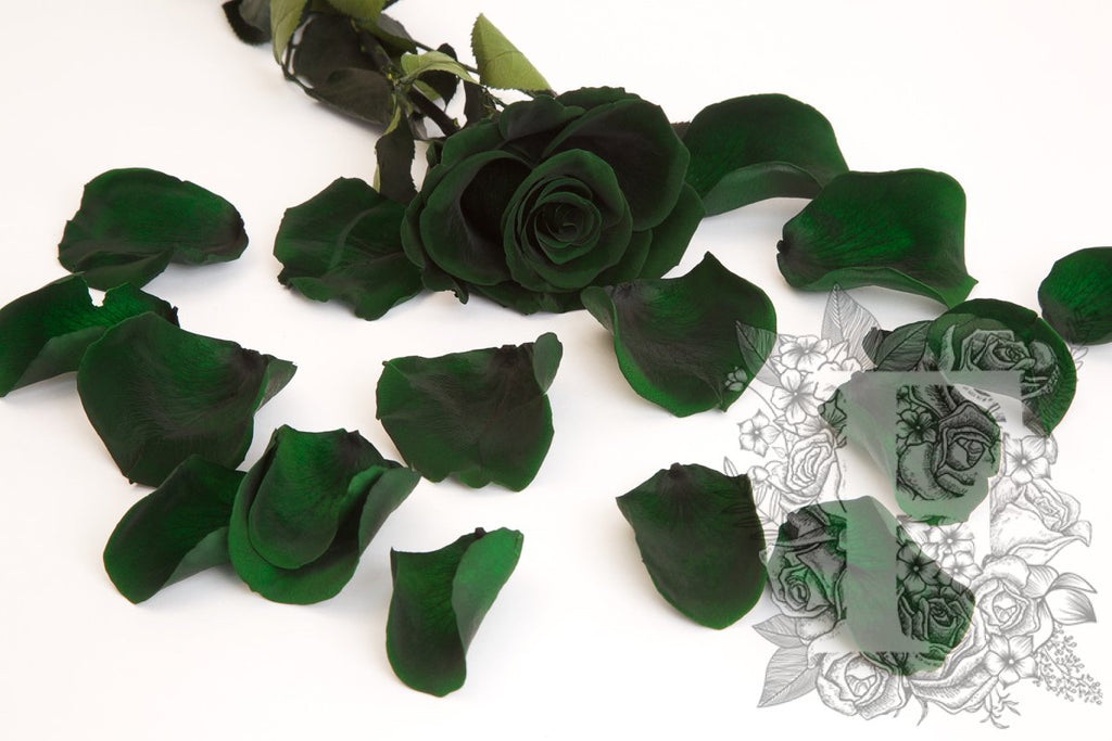 Premium Rose Petals - Window Box - 100g