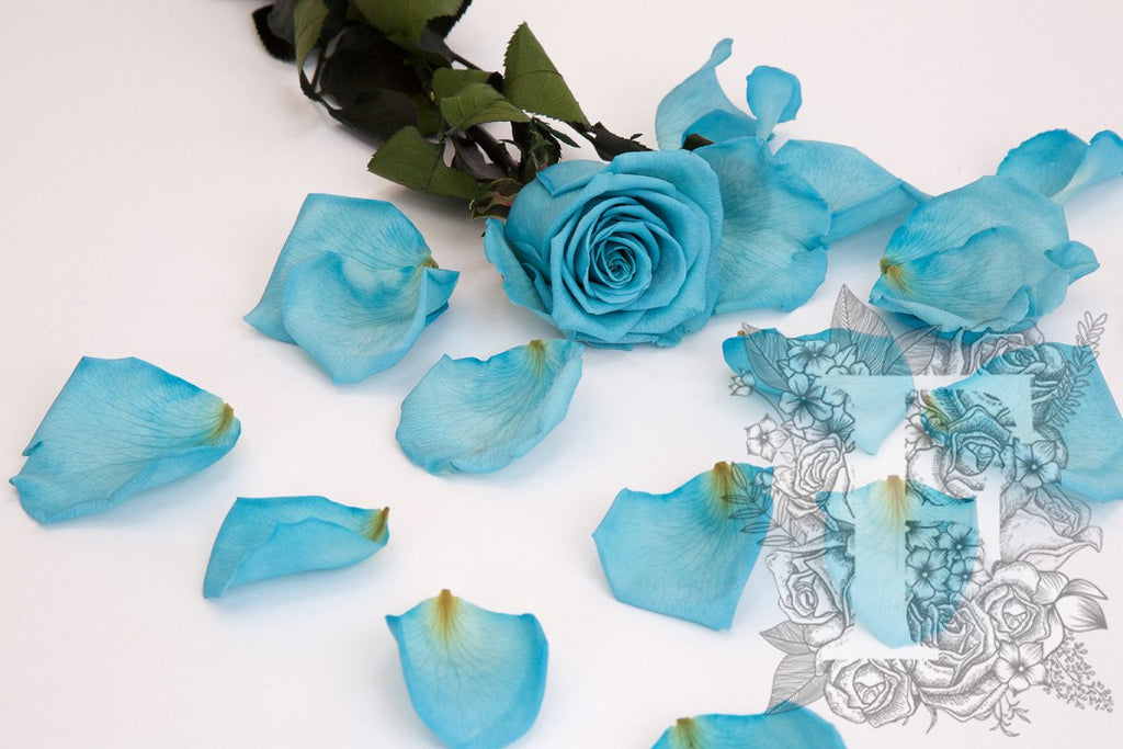Premium Rose Petals - Window Box - 100g