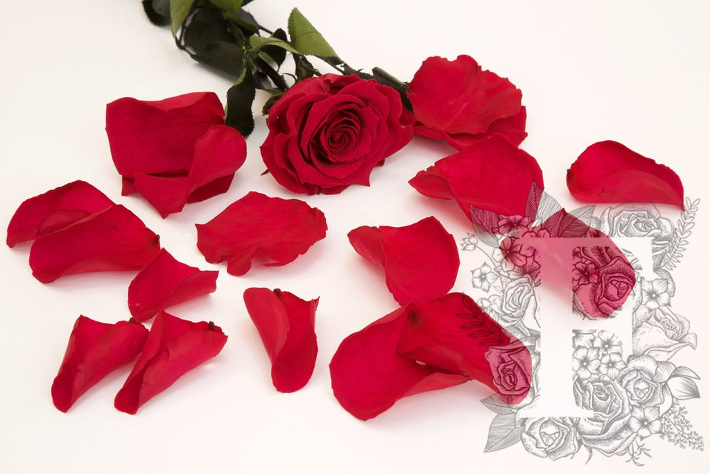 Premium Rose Petals - Window Box - 100g