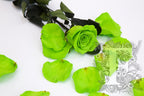 Premium Rose Petals - Window Box - 100g