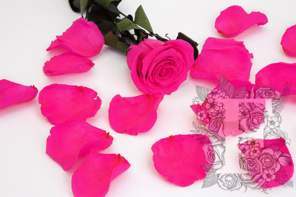 Premium Rose Petals - Window Box - 100g