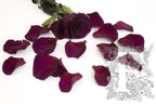 Premium Rose Petals - Window Box - 100g