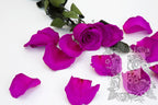 Premium Rose Petals - Window Box - 100g