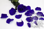 Premium Rose Petals - Window Box - 100g