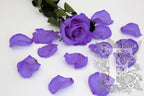 Premium Rose Petals - Window Box - 100g