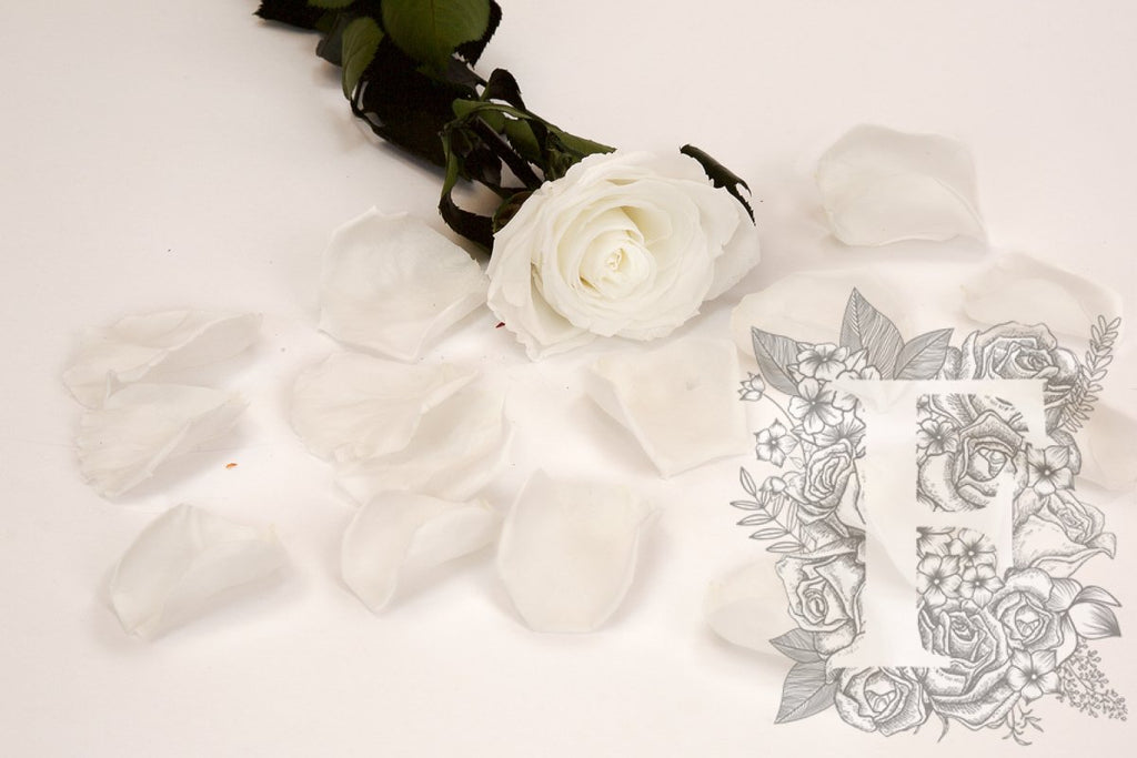 Premium Rose Petals - Window Box - 100g