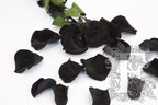 Premium Rose Petals - Bulk - 1KG