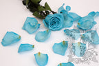 Premium Rose Petals - Bulk - 1KG