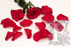 Premium Rose Petals - Bulk - 1KG
