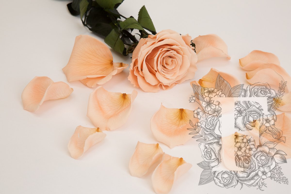 Premium Rose Petals - Bulk - 1KG