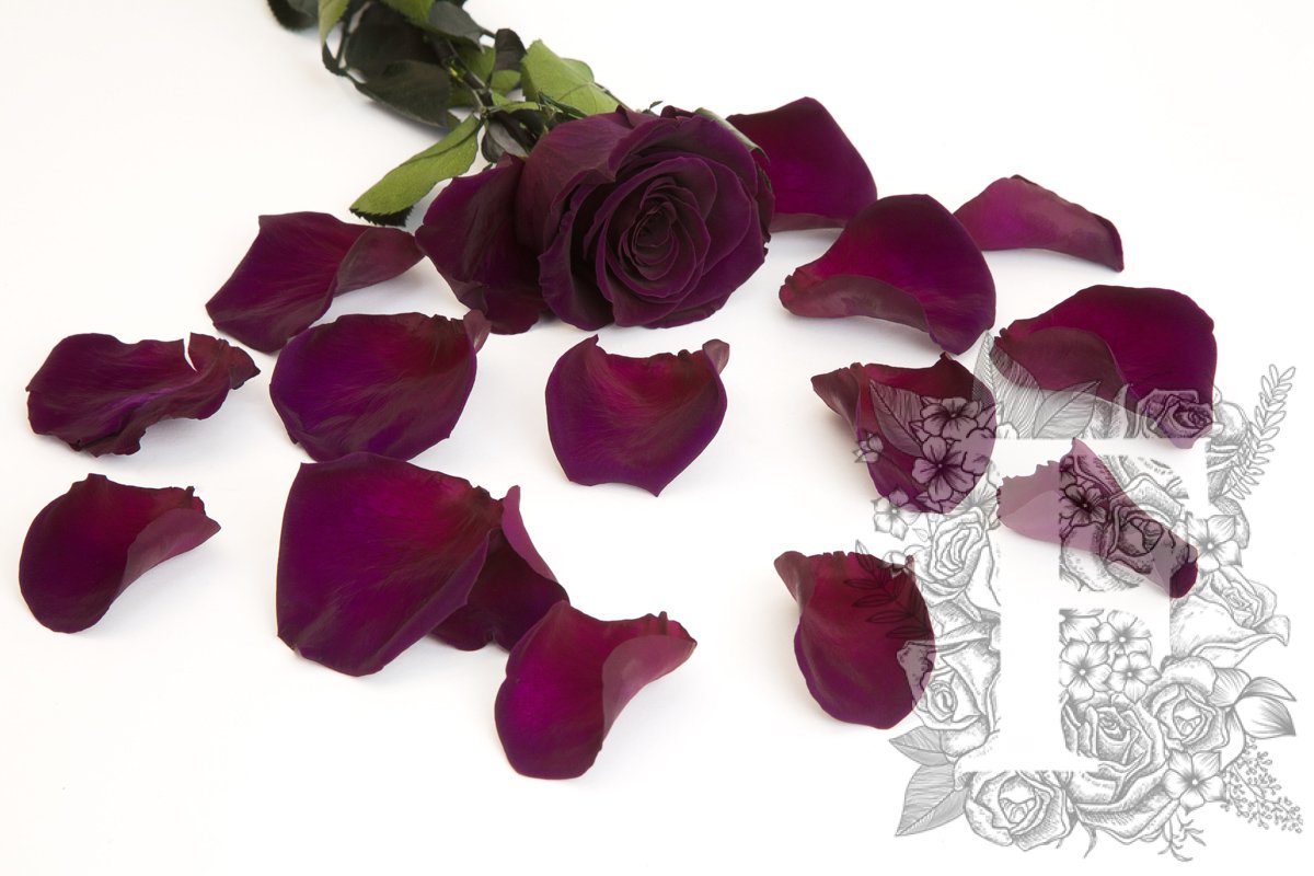 Premium Rose Petals - Bulk - 1KG