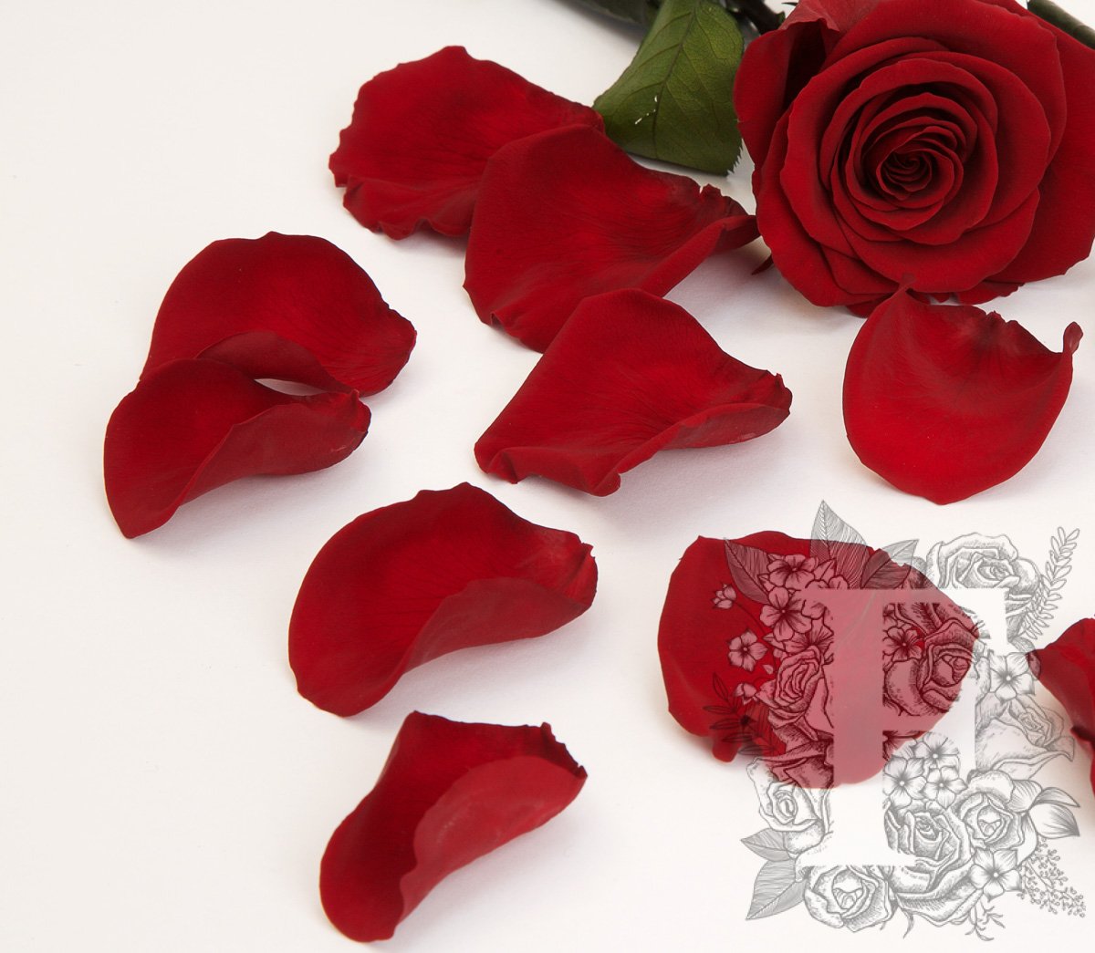 Preserved Petals Red 2