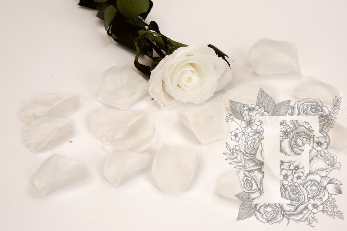 Premium Rose Petals - Bulk - 1KG