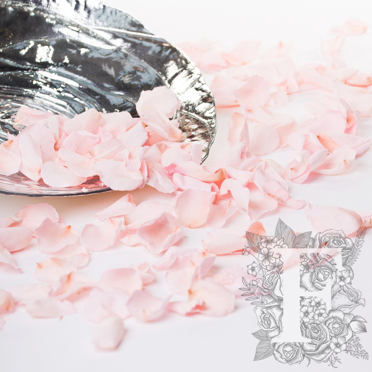 Standard Rose Petals - Window Box -100 g