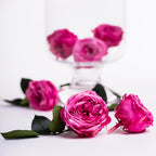 Garden Rose - Temari Blossom - 4 Heads