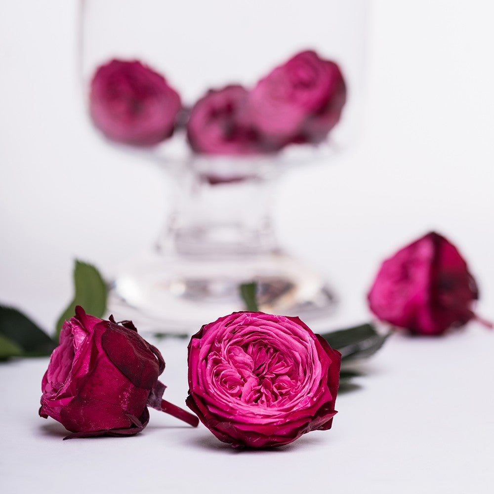 Garden Rose - Chouchou - 4 Heads