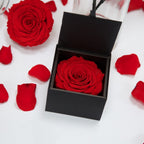 Gift Box XXL Red02 2