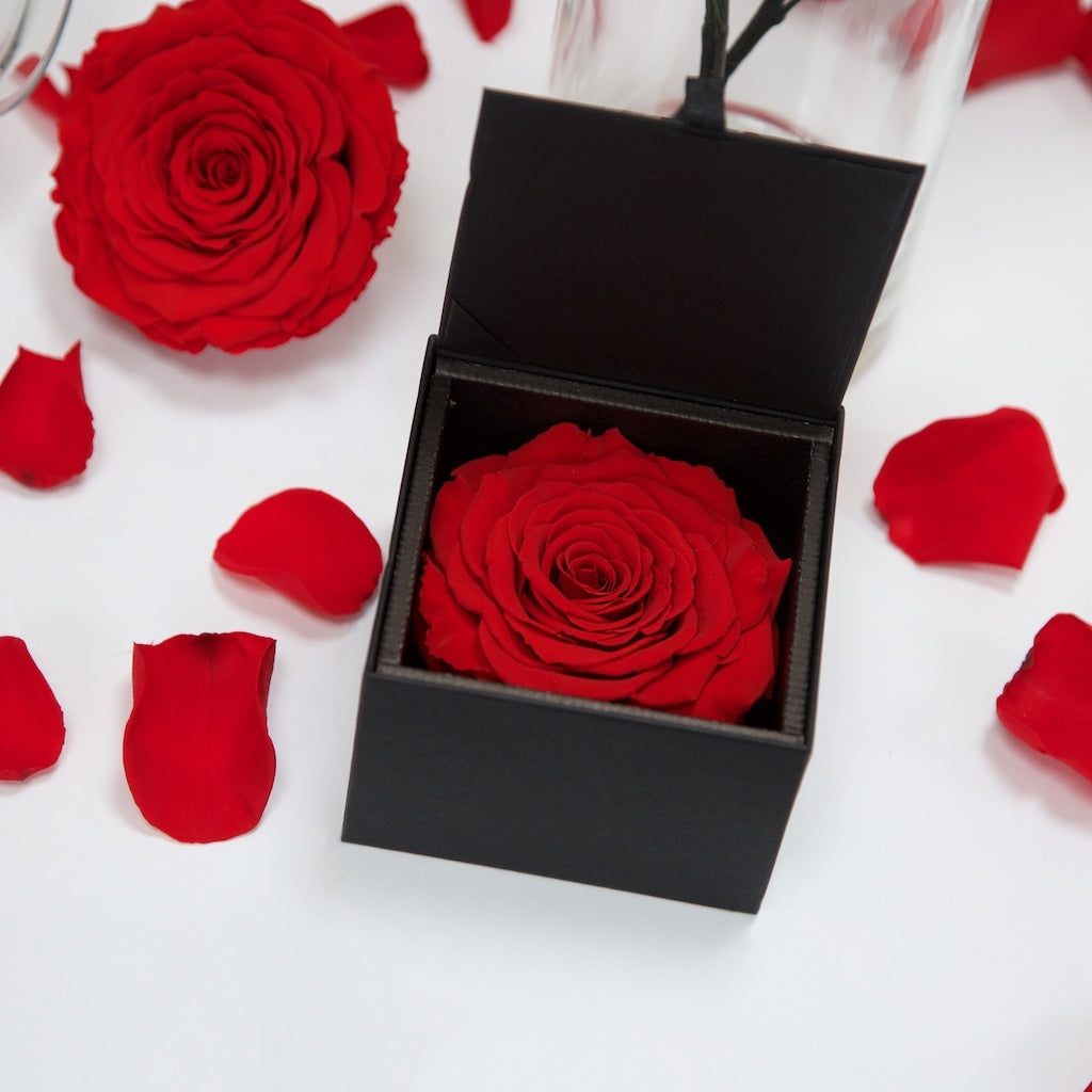 Gift Box XXL Red02 2
