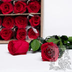 50cm Rose With Stem - 30 Stems Bulk