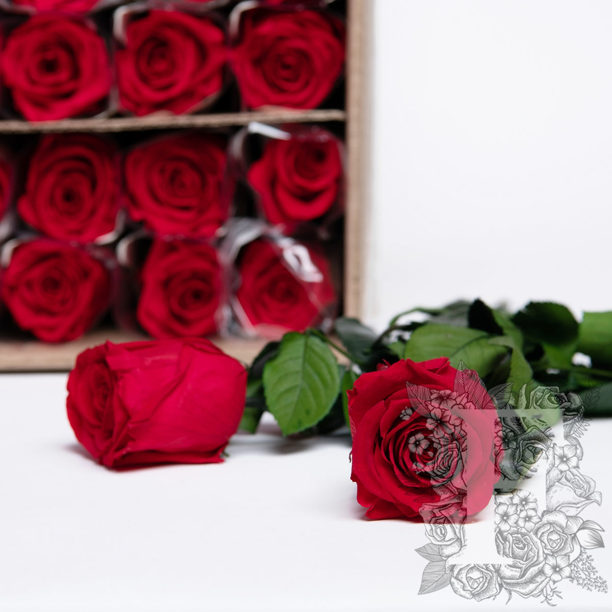 50cm Rose With Stem - 30 Stems Bulk