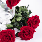 Amorosa Prem Red02 1