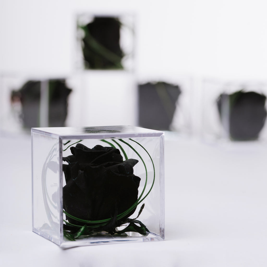 Gift Box - Acrylic - Small