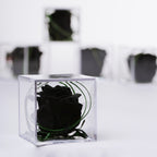 Gift Box - Acrylic - Small