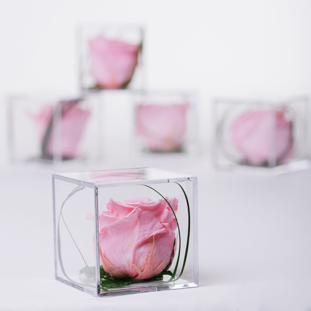 Gift Box - Acrylic - Small