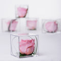 Gift Box - Acrylic - Small