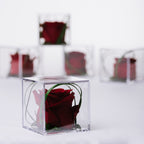 Gift Box - Acrylic - Small