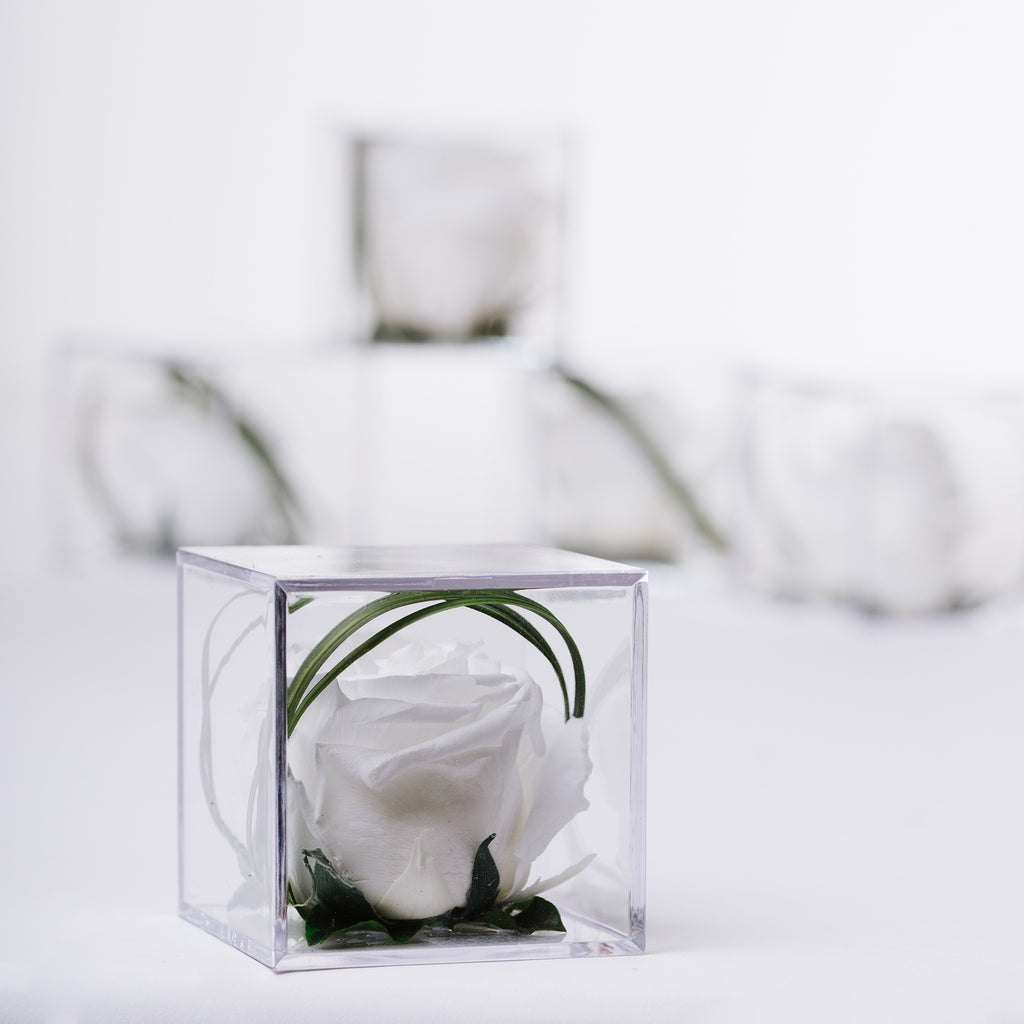 Gift Box - Acrylic - Small