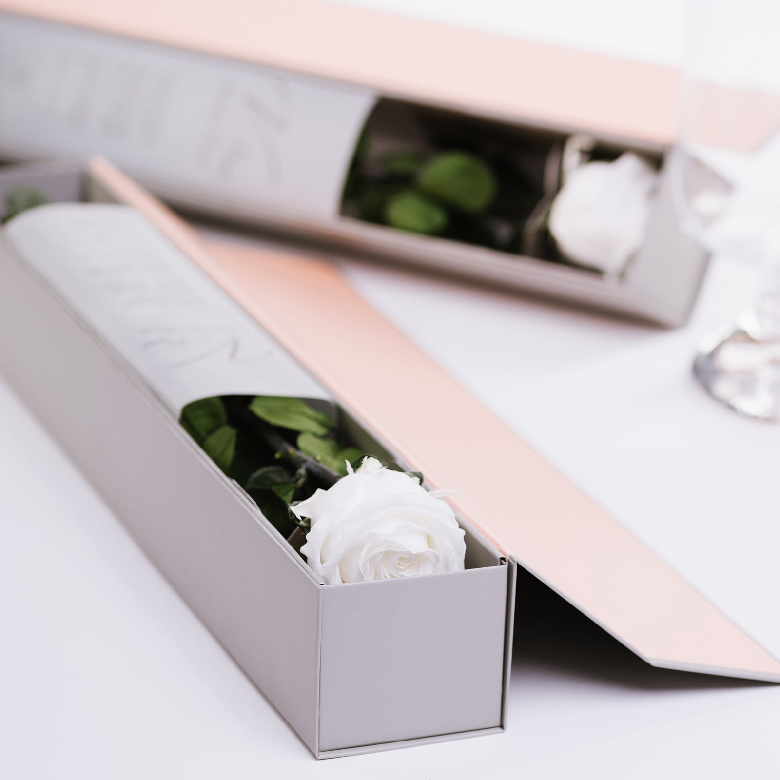 V-Rose Exclusive Box