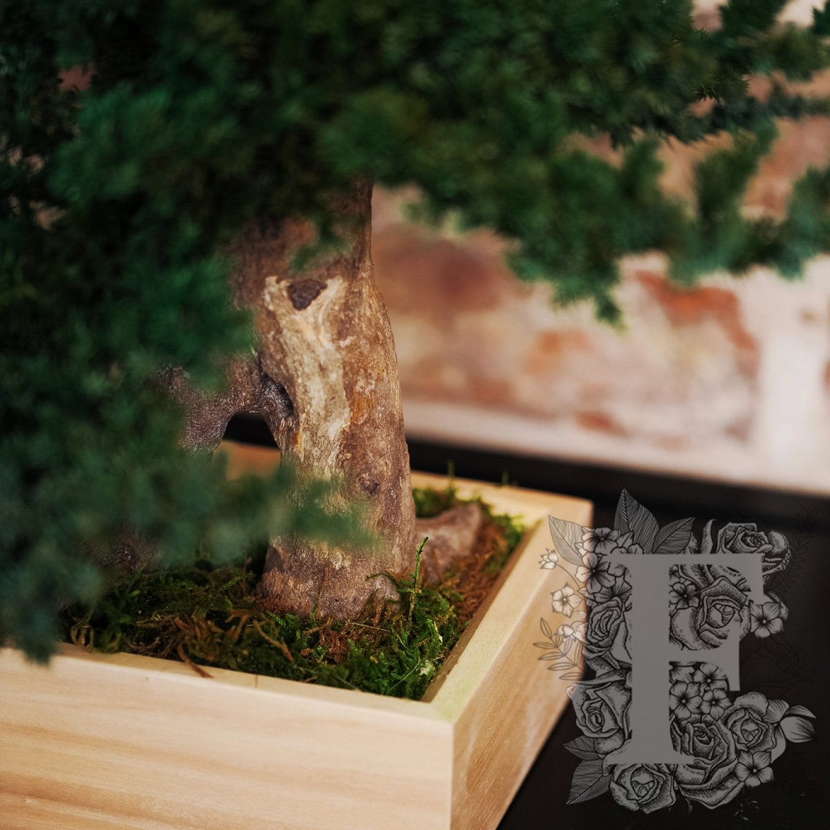 Simple Root Bonsai 2
