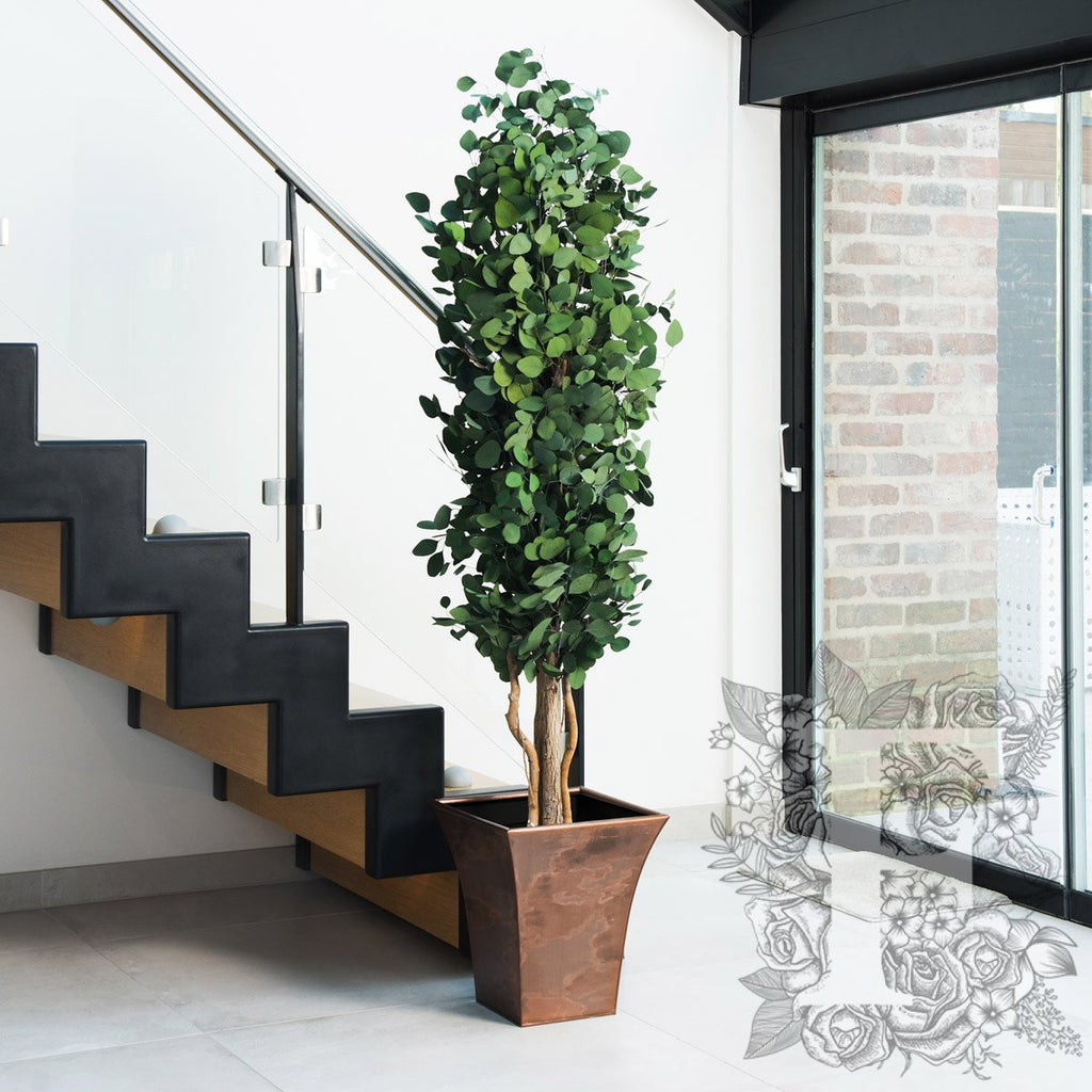 Populus Tree Slim 1